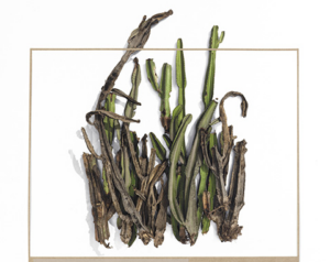 Exposiciones en galería – Masacres Urbanas – Poster