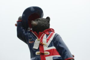 bear-4550249_1280