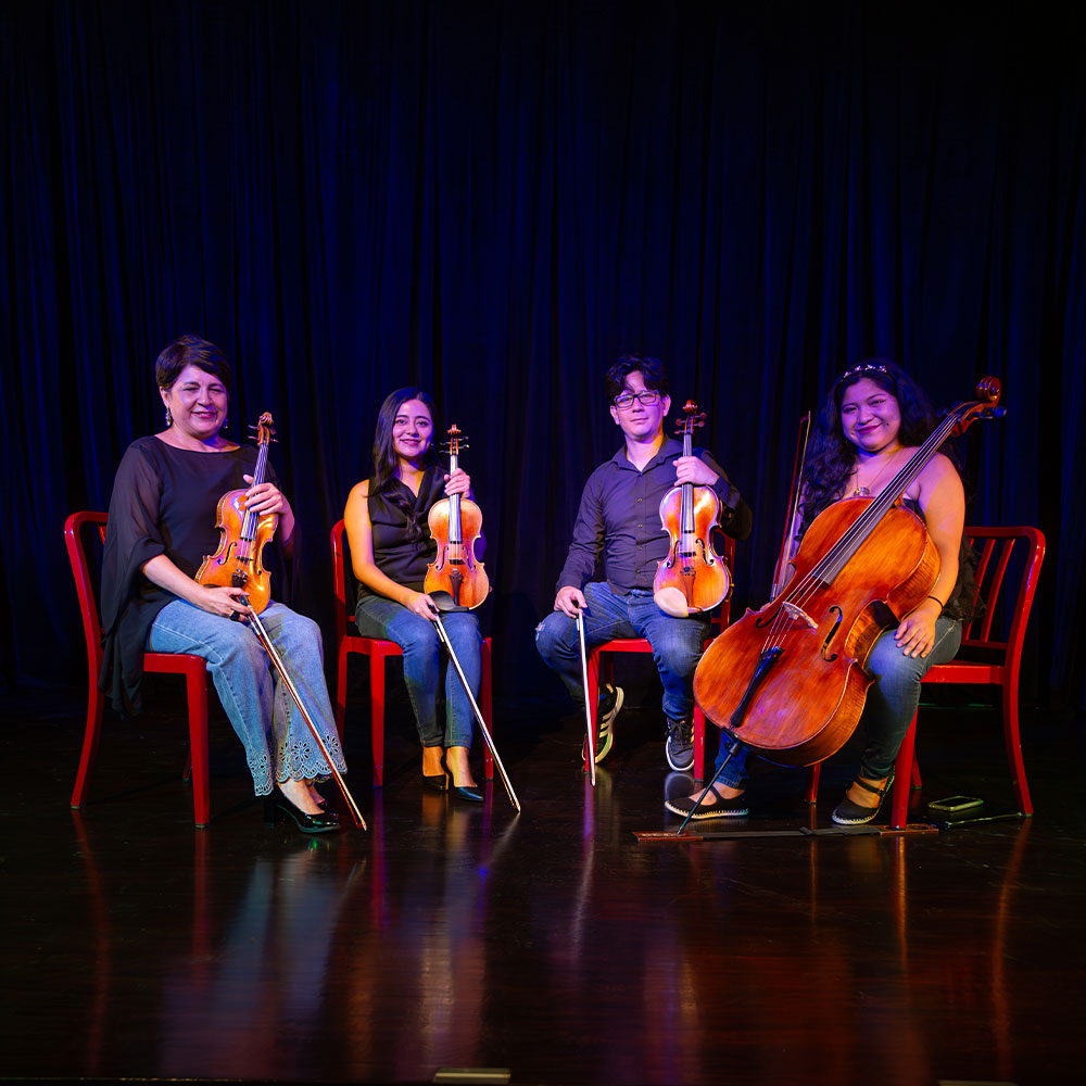 Harry Potter in concert